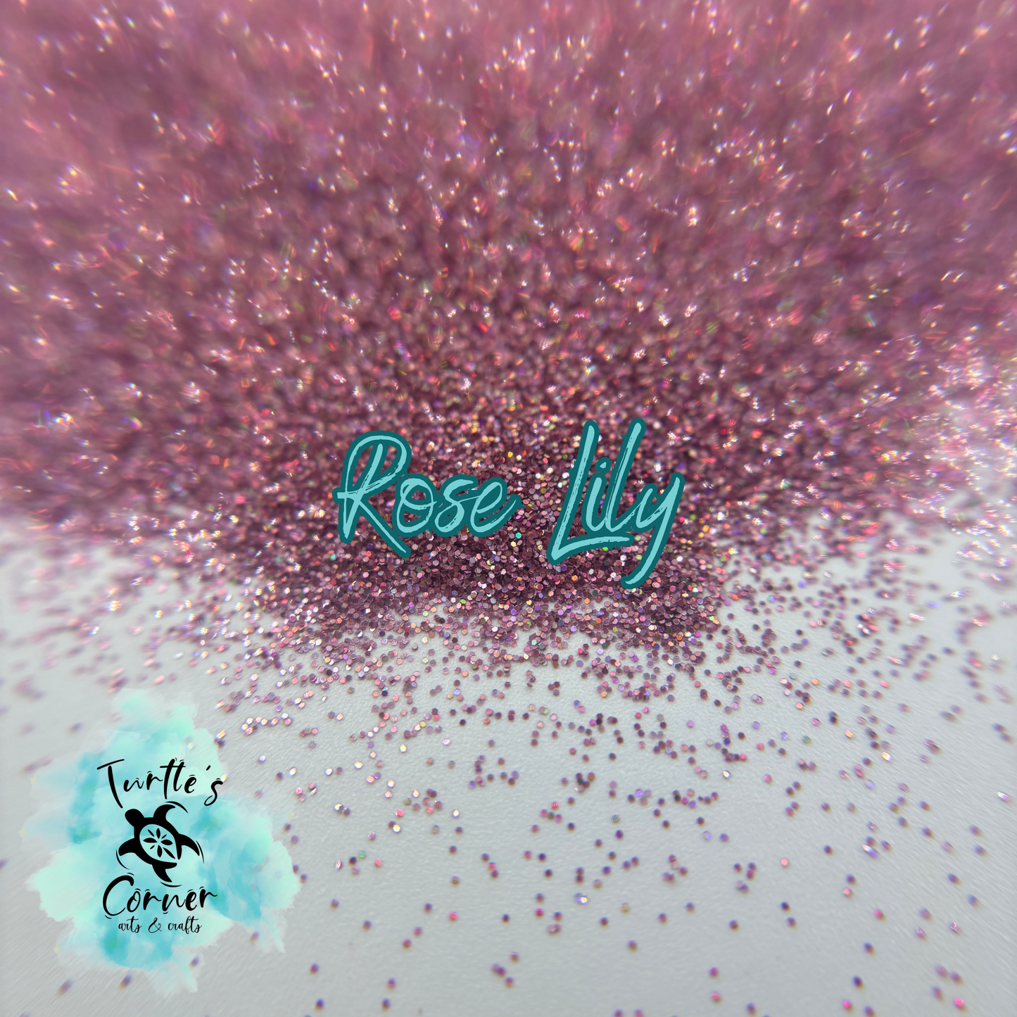 Rose Lily
