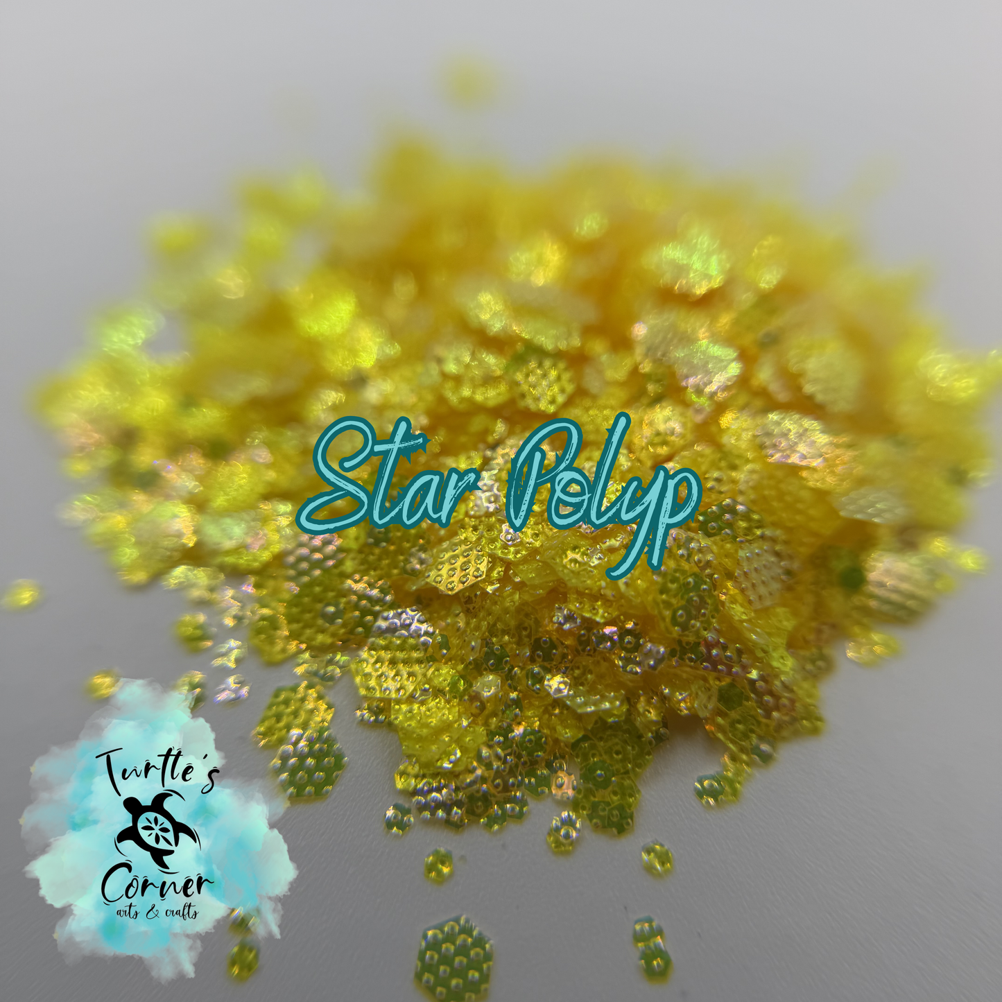 Star Polyp
