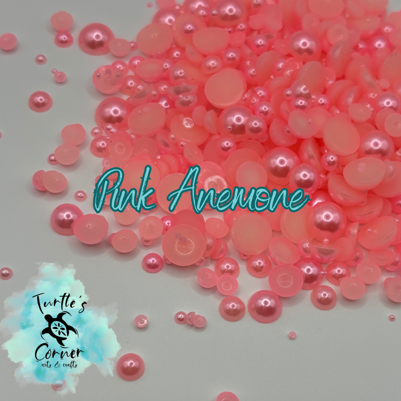 Pink Anemone