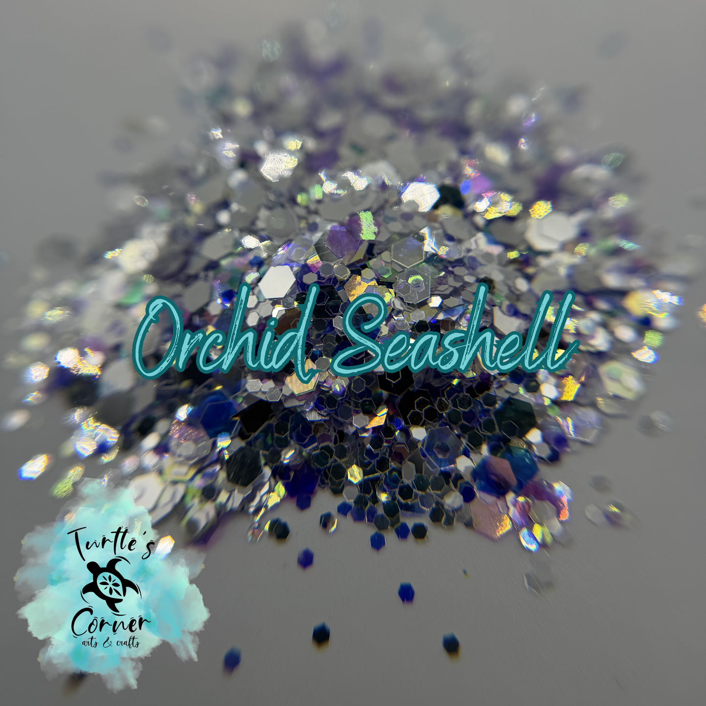 Orchid Seashell