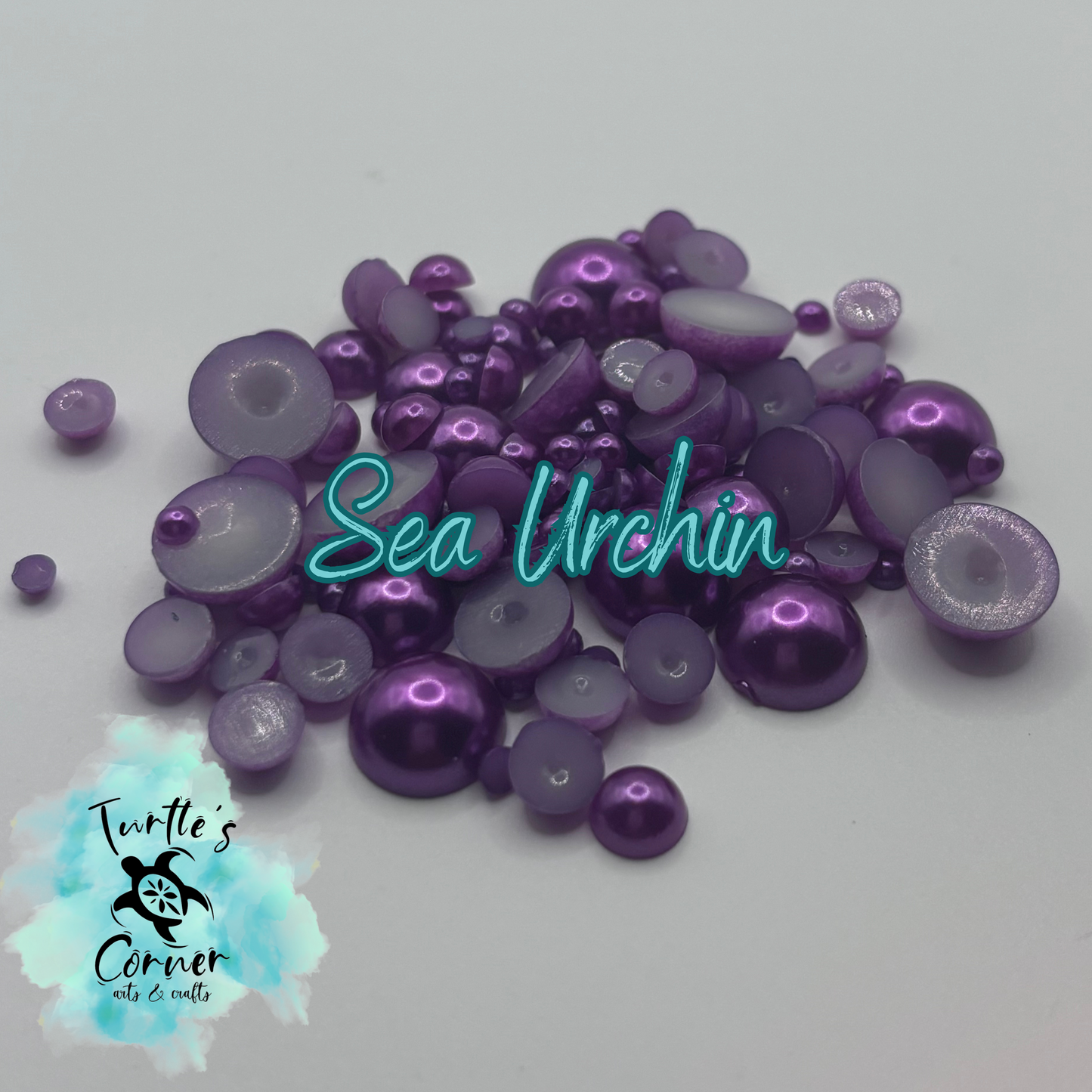 Sea Urchin