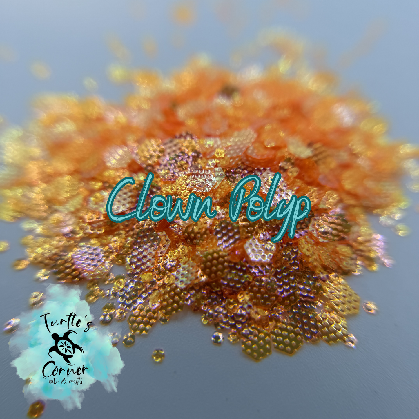 Clown Polyp