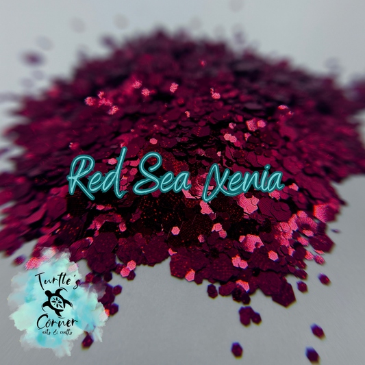 Red Sea Xenia